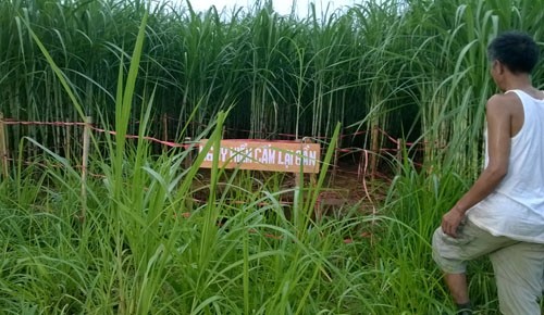 'Hố tử thần' lớn lại xuất hiện ở Thanh Hóa - ảnh 2