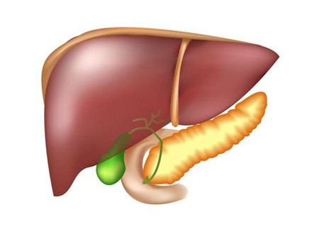 Những lợi ích không ngờ sau khi giải độc cơ thể - ảnh 5