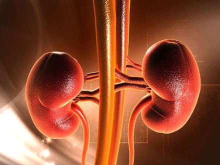 Những lợi ích không ngờ sau khi giải độc cơ thể - ảnh 6