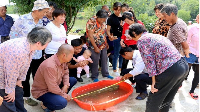 Nông dân bắt được kỳ giông khổng lồ, dài hơn 1m - ảnh 2
