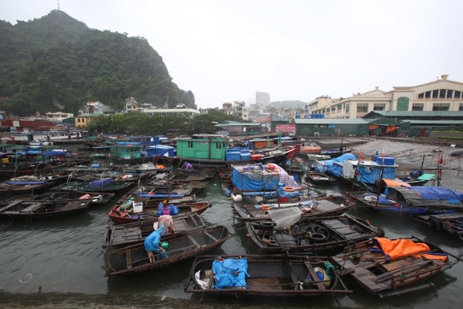 Bão tan, người dân Hạ Long trở lại sinh hoạt bình thường - ảnh 3