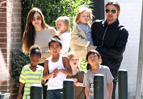 Brad Pitt đệ đơn ly hôn, yêu cầu chia sẻ quyền nuôi con - ảnh 1