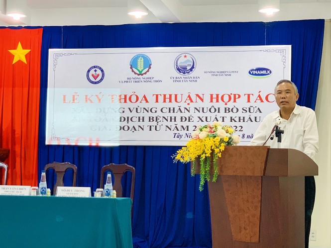 Xây dựng vùng chăn nuôi bò sữa an toàn dịch bệnh để xuất khẩu - ảnh 1