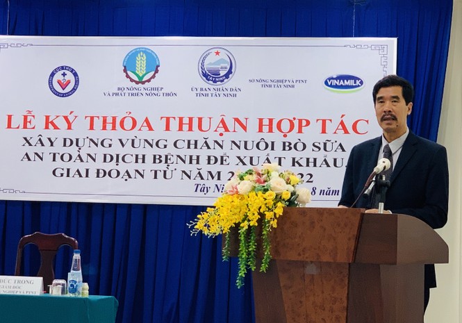 Xây dựng vùng chăn nuôi bò sữa an toàn dịch bệnh để xuất khẩu - ảnh 2