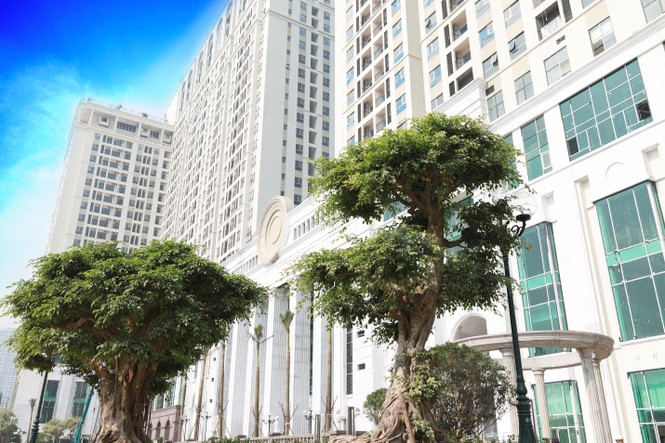 Roman Plaza 'khoác áo mới' sẵn sàng bàn giao tháng 12/2019 - ảnh 1