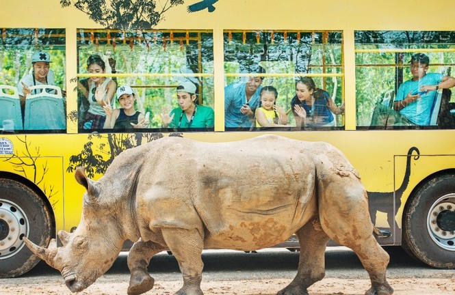 Vinpearl Safari đăng cai tổ chức hội nghị bảo tồn và phúc trạng động vật lớn nhất Đông Nam Á - ảnh 2
