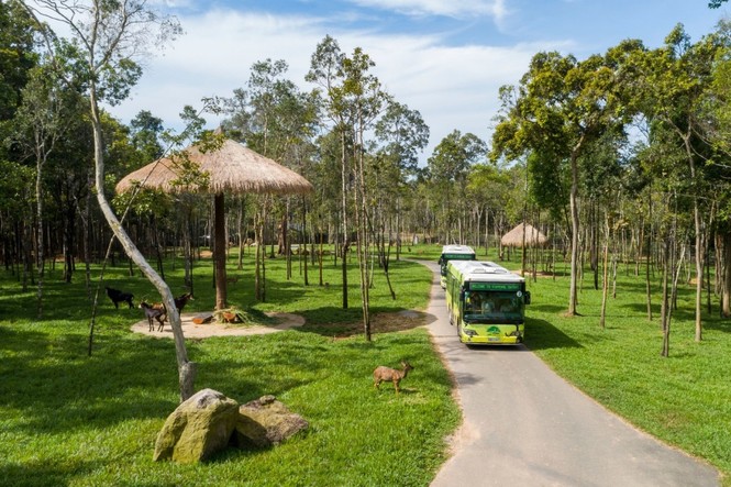 Vinpearl Safari đăng cai tổ chức hội nghị bảo tồn và phúc trạng động vật lớn nhất Đông Nam Á - ảnh 5
