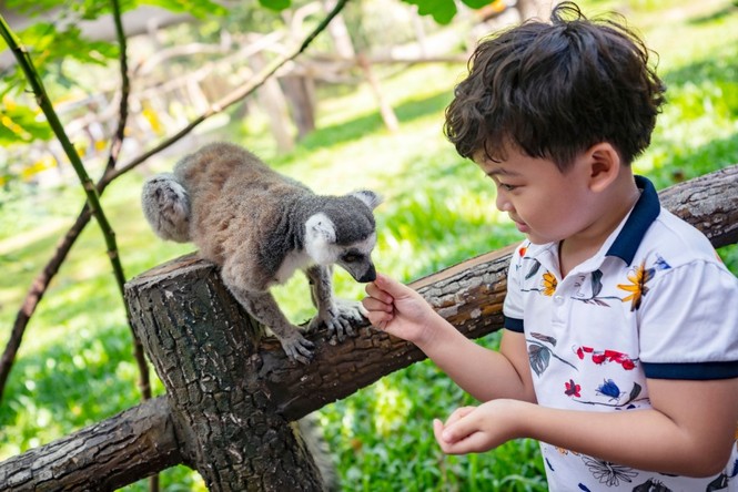 Vinpearl Safari đăng cai tổ chức hội nghị bảo tồn và phúc trạng động vật lớn nhất Đông Nam Á - ảnh 6