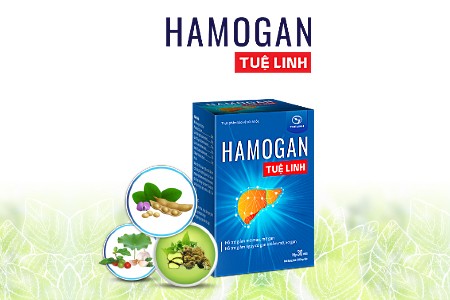 Chuyên gia đánh giá như thế nào về Hamogan Tuệ Linh? - ảnh 1