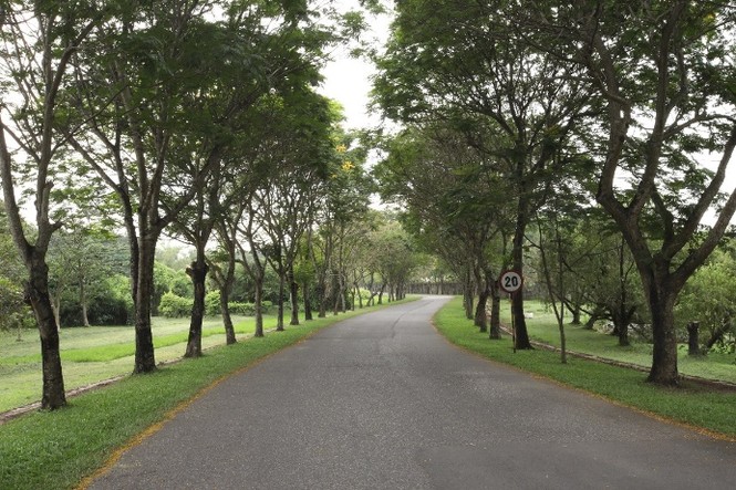 Vedan Việt Nam – ‘mái nhà’ gắn kết người lao động - ảnh 4