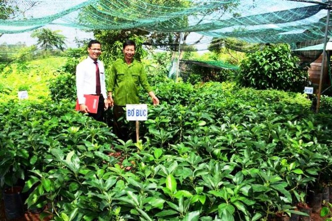 Agribank nỗ lực hành động vì chất lượng cuộc sống cộng đồng - ảnh 1