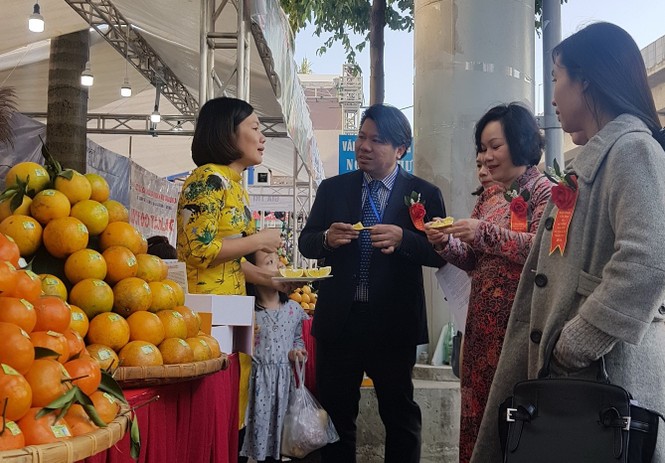Thịt heo Tết dồi dào, giá ổn định - ảnh 3