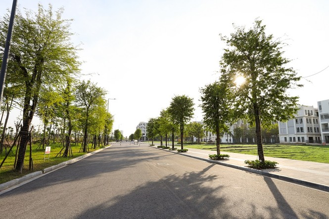 'The Symphony Of Love: Sự kiện được đầu tư công phu của The Manor Central Park - ảnh 1