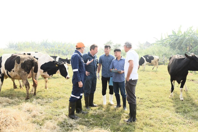 Cô gái Hà Lan tự hào có nguồn sữa nguyên liệu lớn và an toàn hơn chuẩn 11 lần - ảnh 2