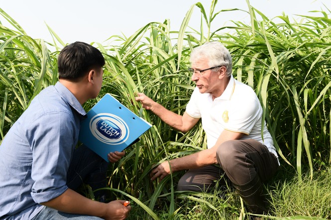Cô gái Hà Lan tự hào có nguồn sữa nguyên liệu lớn và an toàn hơn chuẩn 11 lần - ảnh 3