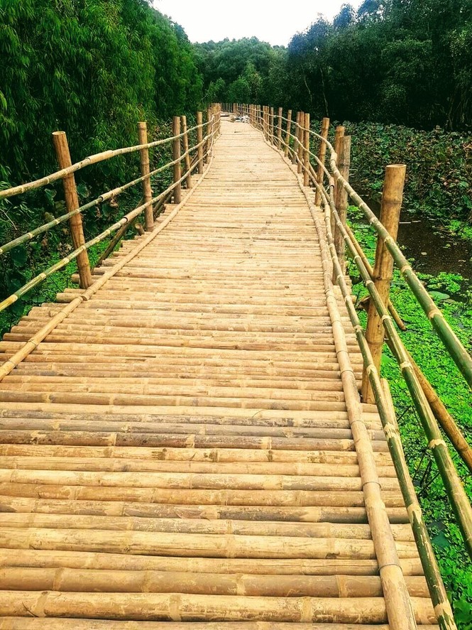 Bức họa Trà Sư - ảnh 2