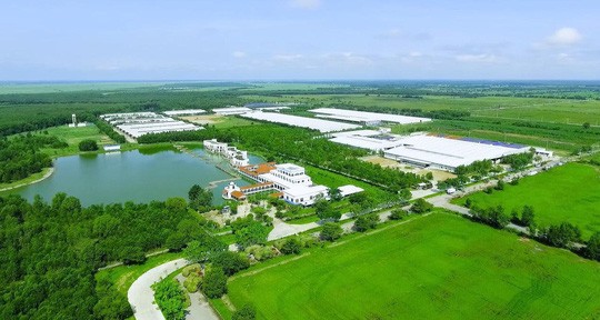 Tết tại ‘resort’ bò sữa Vinamilk có gì đặc biệt? - ảnh 4