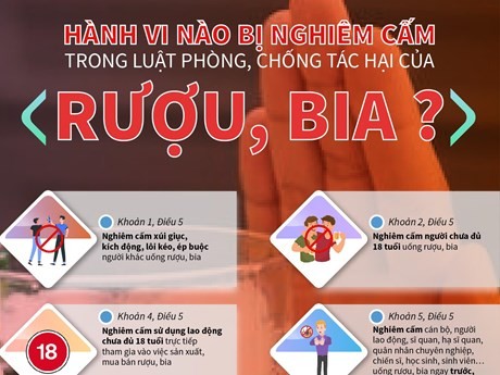 Điểm mạnh và thách thức của Luật Phòng chống tác hại của rượu, bia. - ảnh 1