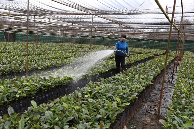 Hỗ trợ nước khoáng đóng chai cho các hộ vùng hạn mặn ở ĐBSCL - ảnh 4