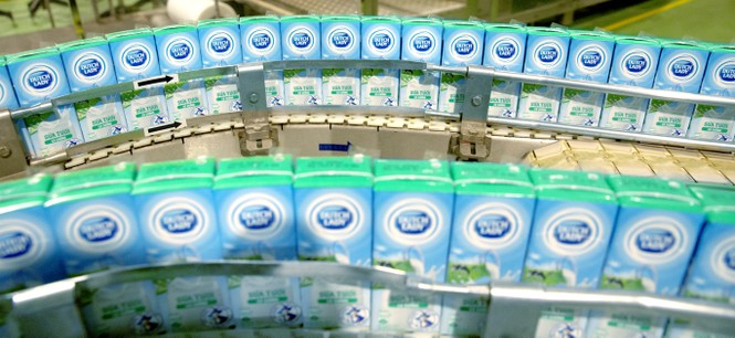 Cô gái Hà Lan tiên phong mang sữa yêu thương, chung tay chia sẻ với người tiêu dùng - ảnh 2