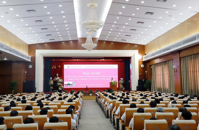 Agribank tổ chức Hội nghị sơ kết và triển khai nhiệm vụ 6 tháng cuối năm 2020 - ảnh 3