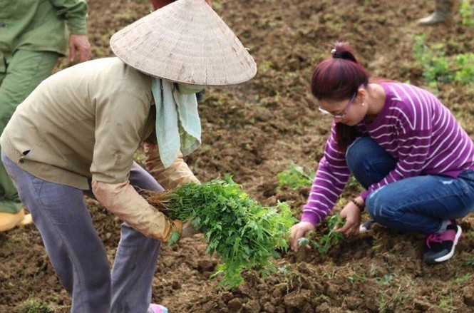 Nữ doanh nhân “thanh lý” nông sản ế lên chợ mạng giờ ra sao? - ảnh 2