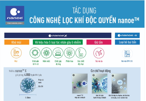 TS Hoàng Dương Tùng: Tự bảo vệ mình bằng cách cải thiện chất lượng không khí trong nhà - ảnh 2