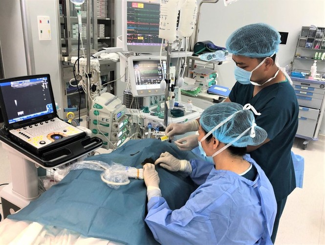 Vinmec công bố nghiên cứu đột phá về giảm đau trong mổ tim hở trẻ em - ảnh 1
