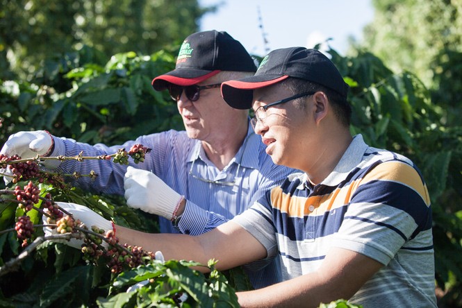 Khánh thành 'Vườn trải nghiệm cà phê NESCAFÉ WASI' tại Tây Nguyên - ảnh 3