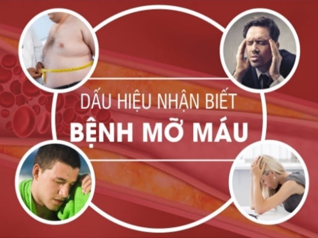 Nguyên nhân, triệu chứng của bệnh mỡ máu cao nhận biết sớm để xử lý kịp thời - ảnh 1