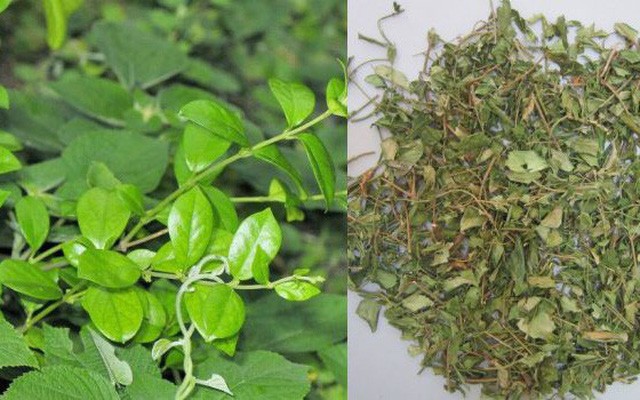 Công nghệ viên nén dạng cao An đường huyết Lakoo- giải quyết nỗi lo tiểu đường mãn tính! - ảnh 1