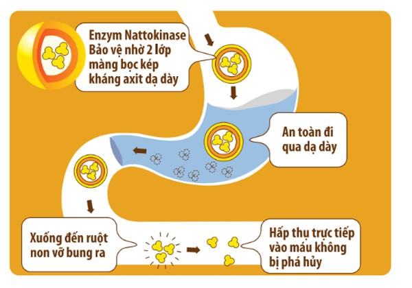 Nguyên nhân, triệu chứng của bệnh mỡ máu cao nhận biết sớm để xử lý kịp thời - ảnh 2