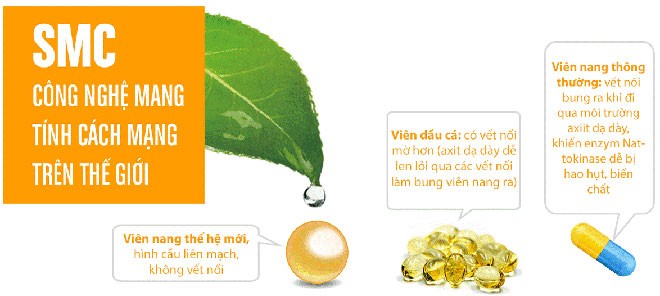 Vì sao Nattokinase Jintan hỗ trợ ‘hạ mỡ máu, ngăn tai biến’ hiệu quả - ảnh 2