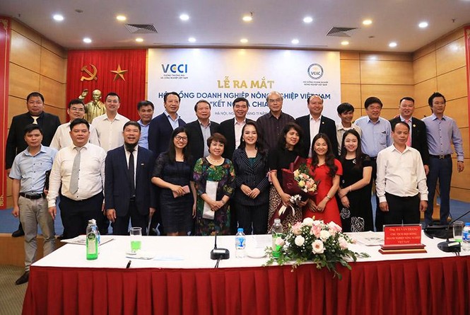 Bà Nguyễn Thị Diễm Hằng được bổ nhiệm phó chủ tịch VCAC - ảnh 3