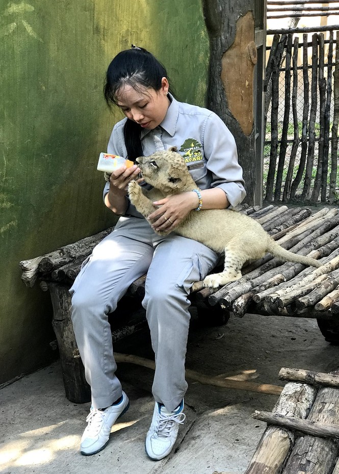 Những 'bảo mẫu' thầm lặng tại Vinpearl Safari - ảnh 1