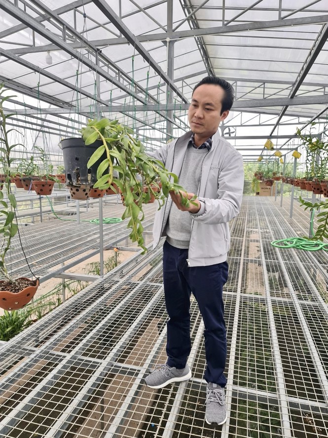 Nghệ nhân Minh Xa chia sẻ bí quyết chăm sóc hoa lan - ảnh 1