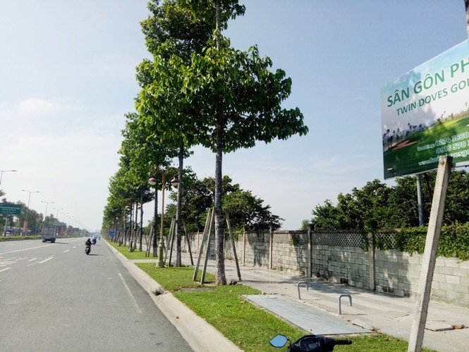 Toàn cảnh khu đất gần 200 ha chuyển nhượng trái quy định ở Bình Dương - ảnh 9