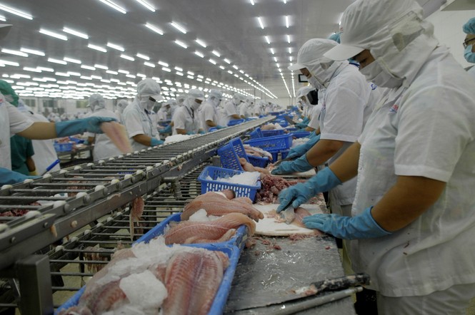 Mỹ công bố Luật công nhận Việt Nam đủ điều kiện xuất khẩu cá da trơn - ảnh 1