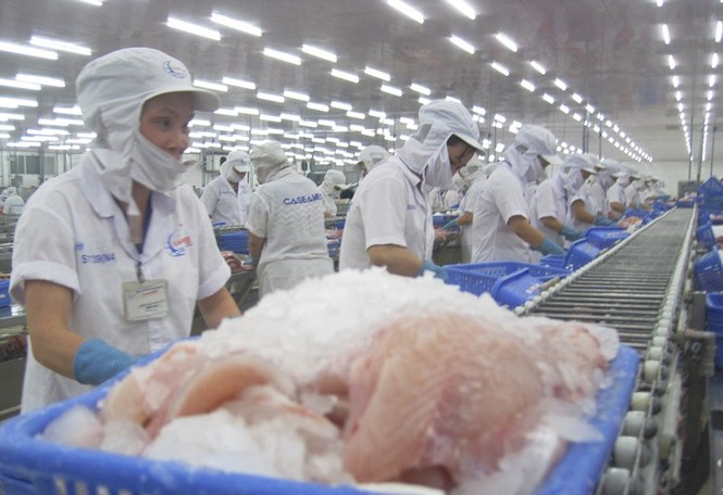 Các nhà máy chế biến thủy sản thiếu nguyên liệu trầm trọng - ảnh 1