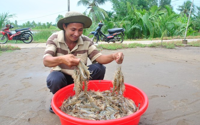 Ngành tôm và cơ hội ‘bứt phá’ sau đại dịch - ảnh 2
