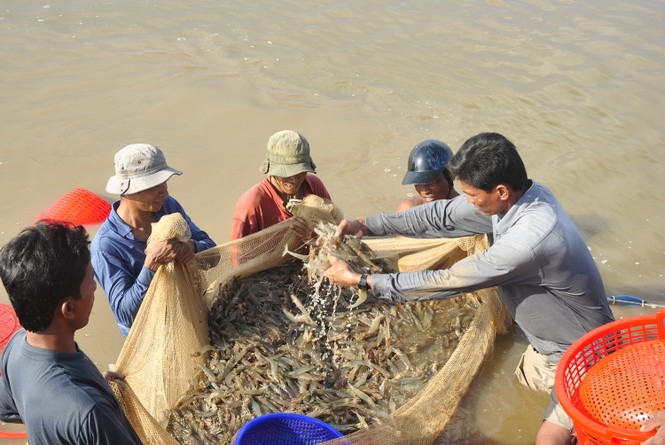 Cơ hội cho ngành thủy sản Việt Nam từ hiệp định EVFTA - ảnh 1
