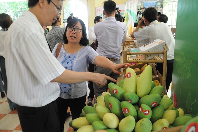 Trung Quốc tạm dừng nhập khẩu xoài ‘mạo danh’ của Việt Nam - ảnh 1