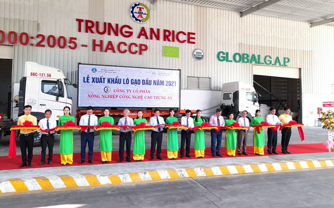Ngành gạo là điểm sáng nổi bật trong năm 2020 - ảnh 3