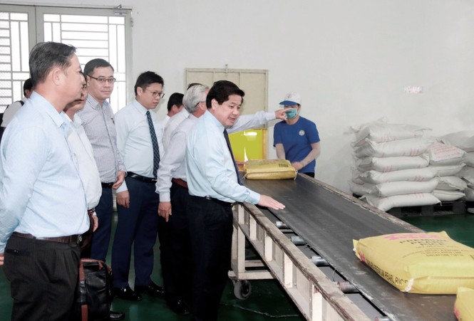 Ngành gạo là điểm sáng nổi bật trong năm 2020 - ảnh 1