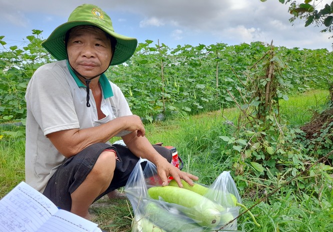 ĐBSCL: Giá thịt heo tăng, nhiều loại rau củ quả giảm - ảnh 3