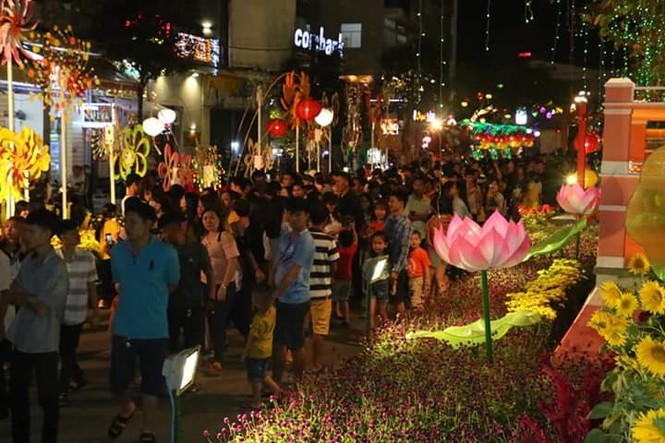 Hàng chục nghìn người thưởng ngoạn đường hoa Cần Thơ - ảnh 6