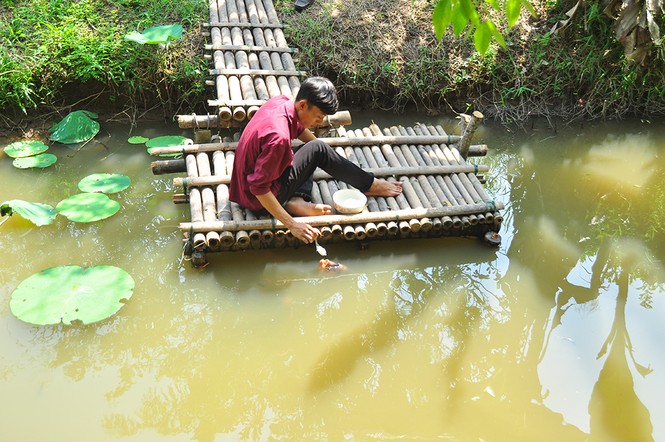 Độc đáo đàn cá
