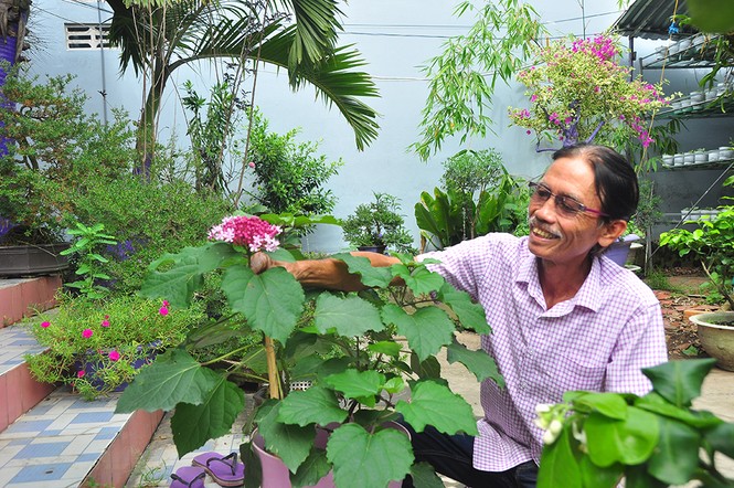 Thủ phủ hoa lớn nhất miền Tây chuẩn bị gần 3 triệu giỏ hoa phục vụ Tết - ảnh 4