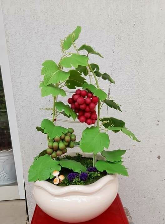 Tình yêu hoa từ đất sét của nữ thạc sỹ 9X ở Cần Thơ - ảnh 13