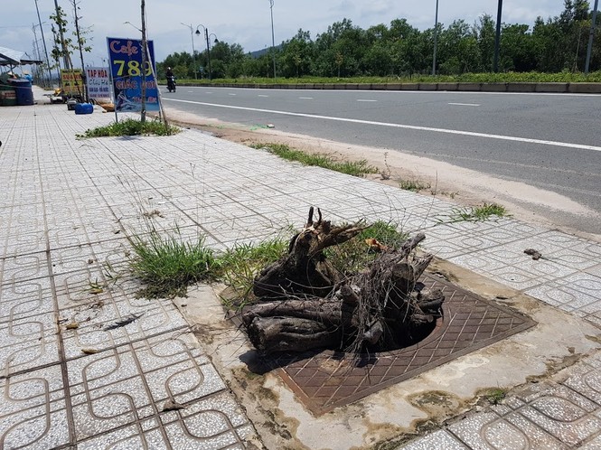 Hàng trăm nắp cống trên tuyến đường đẹp nhất đảo Phú Quốc bị trộm lấy cắp - ảnh 3